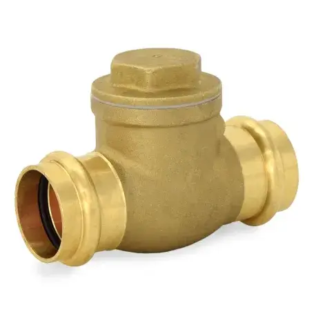 1. Swing Check Valve