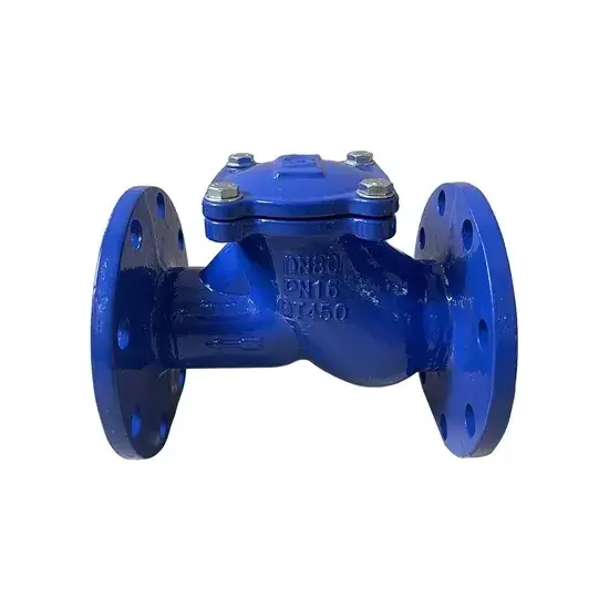 5. Ball Check Valve