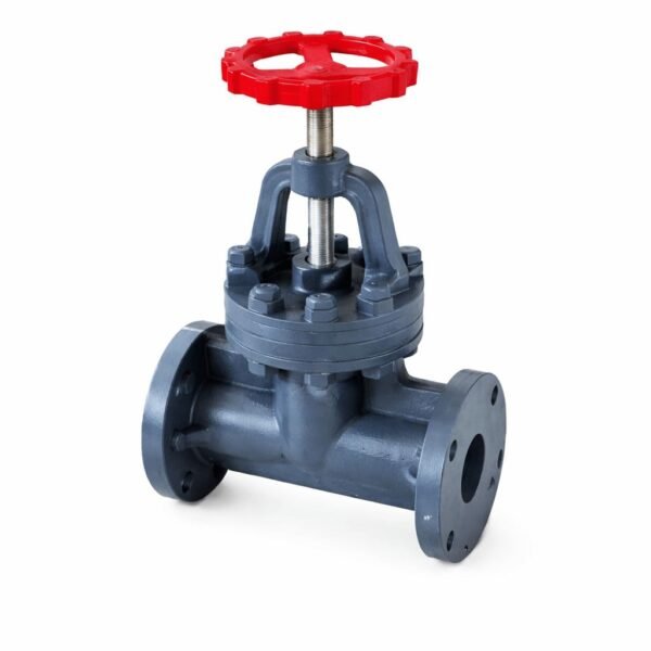 Check Valve Types and Applications - Sakowit Pump Parts Solutions