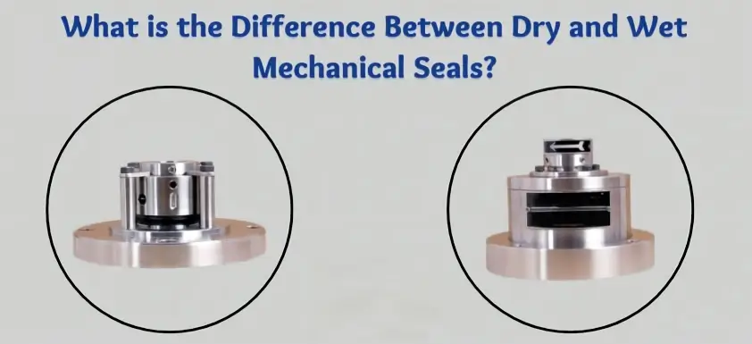 Dry Gas Seal vs Wet Mechanical Seal Comparison at a Glance