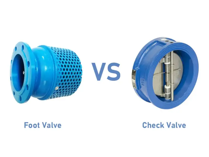 Foot Valve vs Check Valve