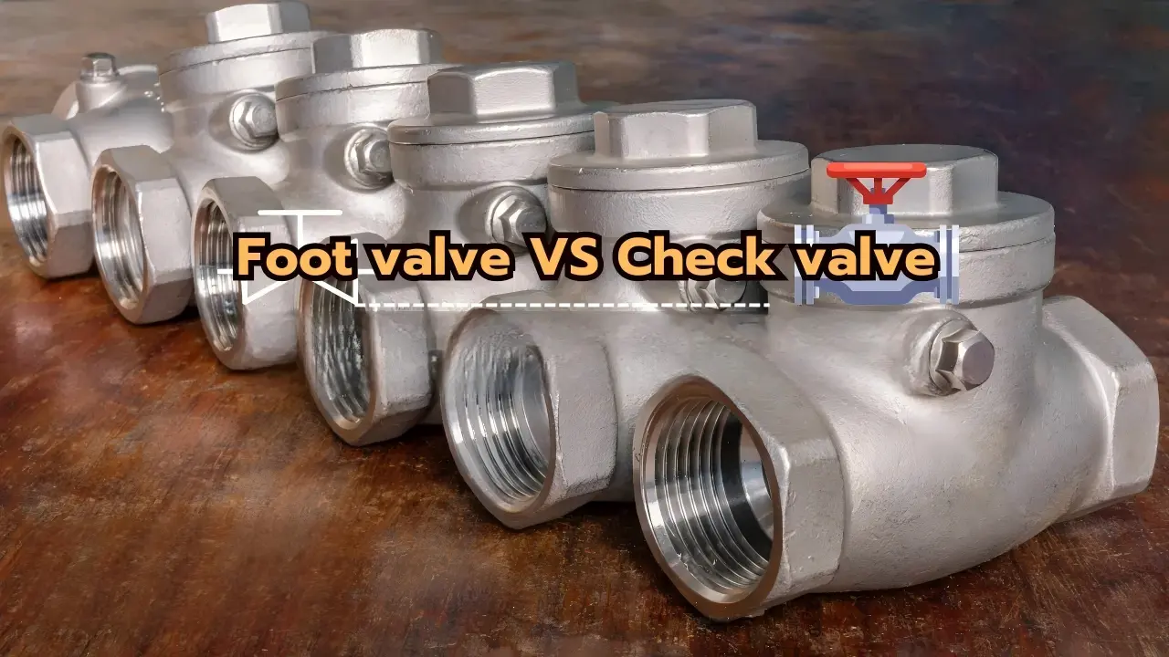 Foot Valve vs Check Valves