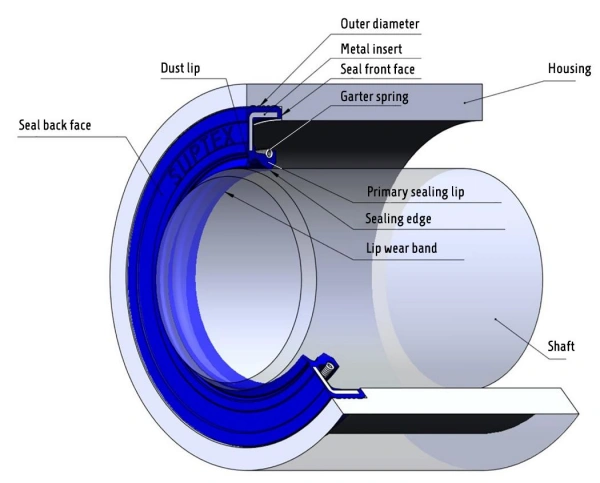 How Lip Seals and Mechanical Seals Work