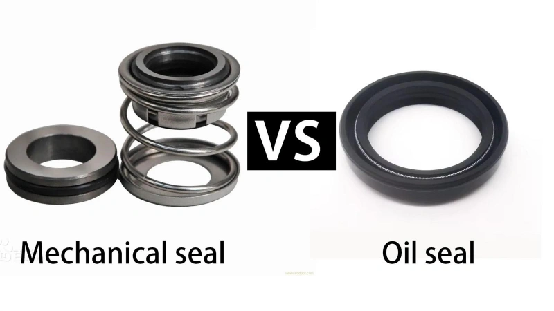 Mechanical Seal vs Oil Seal The Main Difference