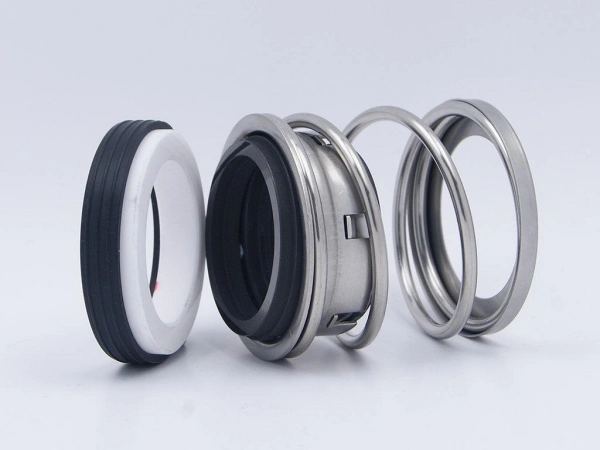 The Components That Create and Maintain the Seal